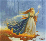 Needlework Crafts Full Embroidery Counted Cross Stitch Kits 14 ct Magical Girl Model