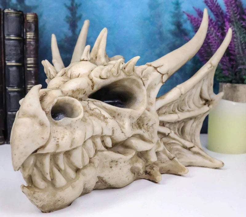 Ebros Elder Jurassic Dragon Head Skull Realistic Fossil Statue 9" Long Figurine Model