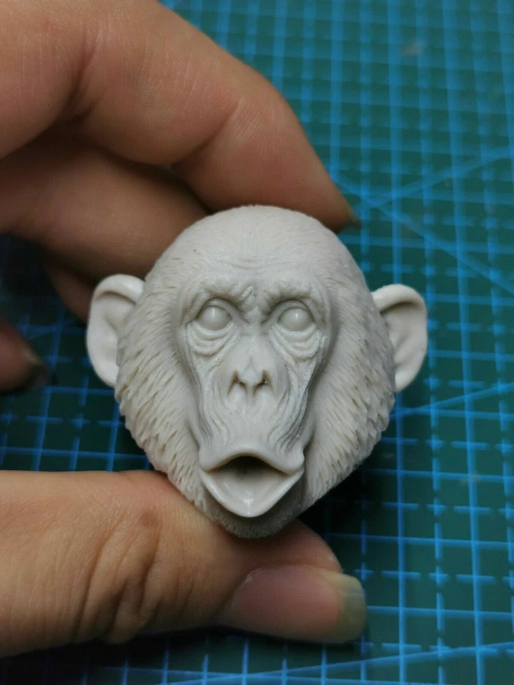 1/6 Scale Chimpanzee Animal Unpainted Head Model Kiss Mouth Version DIY Model