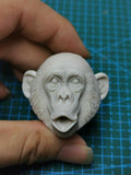 1/6 Scale Chimpanzee Animal Unpainted Head Model Kiss Mouth Version DIY Model