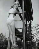 Anne Francis Posing on diving board in swimsuit glamour pose 8x10 Photo Model
