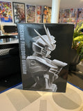 Gundam Rising Freedom Gundam Figure Model Kit Unassembled Anime Manga Model
