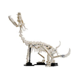 YOUFOY?Dragon Fossil Gigantic Dragon Skeleton Model 617 Pieces Building Kit Set Model