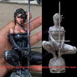 Evilyn Swordswoman 1/8 Figure 3D Print Model Kit Unpainted Unassembled 21cm GK Model
