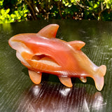 360G Natural Agate Hand Carved Shark Figurine Crystal Gemstone Decor Model