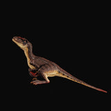 REBOR Velociraptor Couple GUNN Dinosaur Statue Model Display Male Model