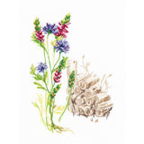 RTO counted Cross Stitch Kit "Bloomy herbs" M778, 11x16 cm, DIY Model