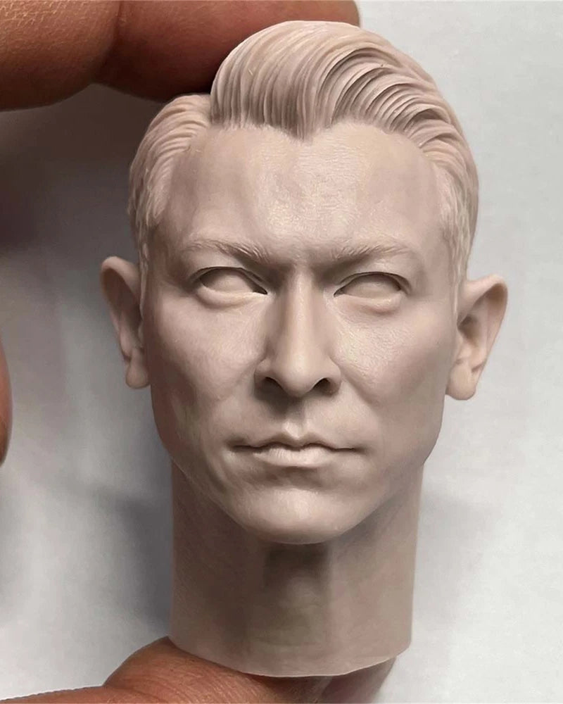 Unpainted 1/6 Andy Lau Head Carved Model Toys Model