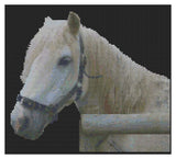 Cross Stitch Pattern by Florashell - White Horse Model
