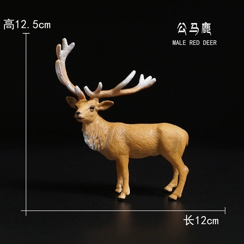 MALE RED DEER Model Animal Model For 1/6 Action Figure Scene Accessories Model