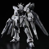 Strike Freedom Gundam Deactive Mode BANDAI RG 1/144 ZGMF-X20A Model