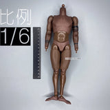 SoliderStory SSG-008 1/6 Full Territory Blockade 2 - Body model Model