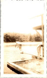 1950s Action Diving Photograph Lakeside Platform Mid Air Dive Sepia Tone Model