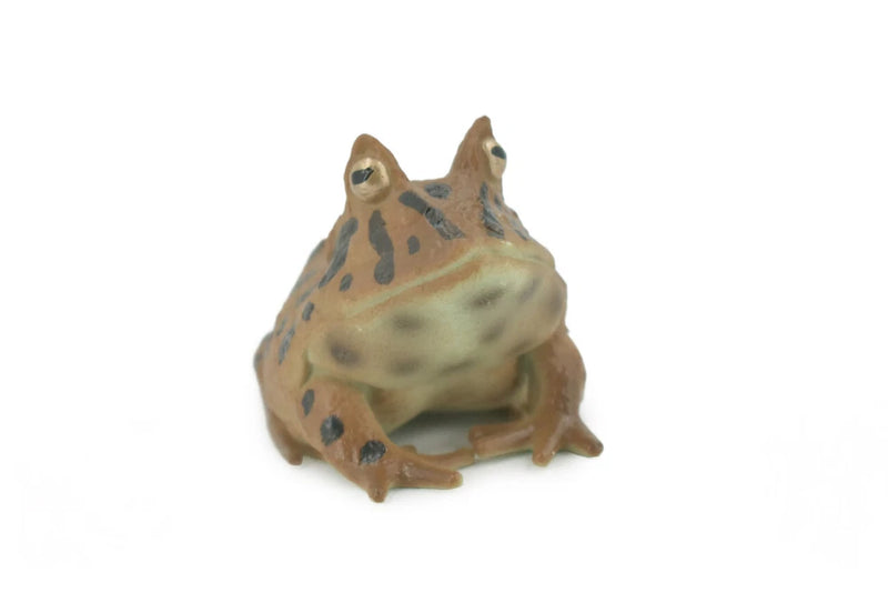 Horned Frog, Hand Painted, Realistic Rubber Figurine Toy 2.5" CH542 BB159 Model