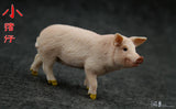 Pigling Pig For1/6th Scale 12