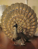 Metal Peacock Bird Figurine Collectible with Fanned Spread Tail Display Model