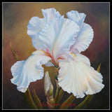 Counted Cross Stitch Kits Needlework Crafts DIY  Chart- White Irises Model