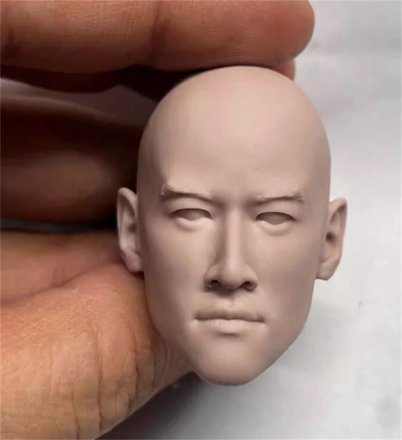 1/6  Peter Ho Unpaited star   Head Sculpture  Asia Singer  Model F 12" figure Model