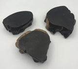 3 Pcs Natural Ebony Wood DIY Carve Materials Stand Pot Statue Plant Display Base Model