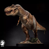W-dragon Female Tyrannosaurus Rex Dinosaur Statue Model Display 9in Height Model