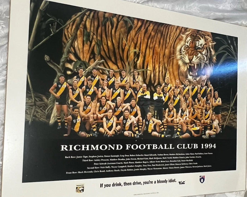 1994 RICHMOND TIGERS FOOTBALL CLUB FRAMED MOUNTED BOARD TEAM PHOTO Poster Model