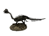 Dilophosaurus Skeleton Polyresin Dinosaur Display Figurine 17 x 8 in Model