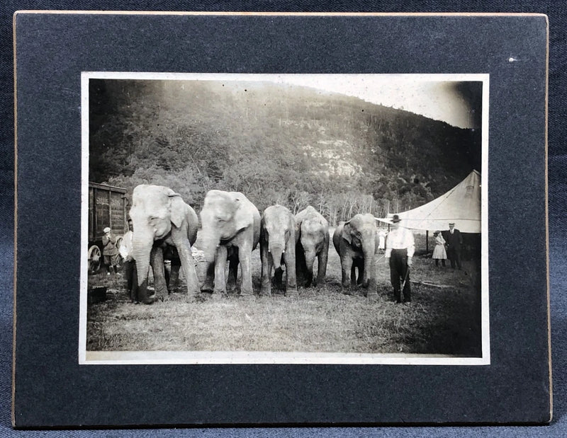 Board Mounted Antique Photograph Circus Elephants Trainer Wagons Tent People Model