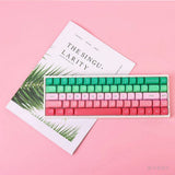 Gradual Spring Theme MOA Profile Dye Sublimation PBT Keycap Set Model