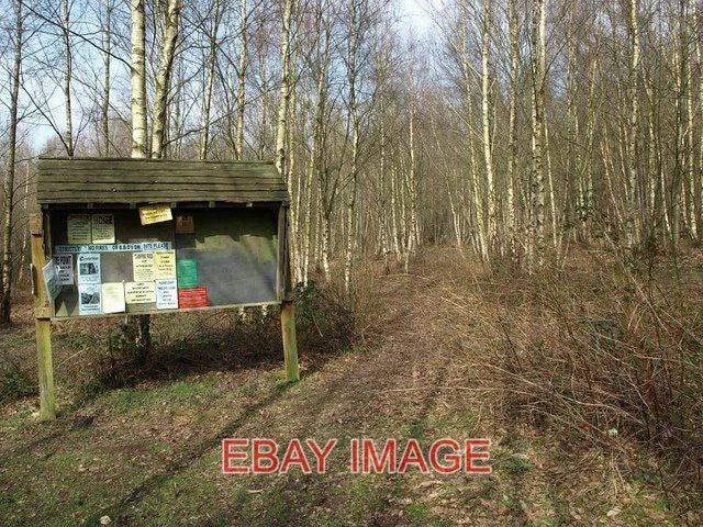 PHOTO  NOTICE BOARD ON PATH IN BIRCHDEN WOOD CLOSE TO CAR PARK FOR HARRISON'S RO Model