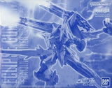 1/100 MG MVF-X08+EW453R Eclipse Gundam Raijin Equipment "Mobile Suit Gundam SEED Model