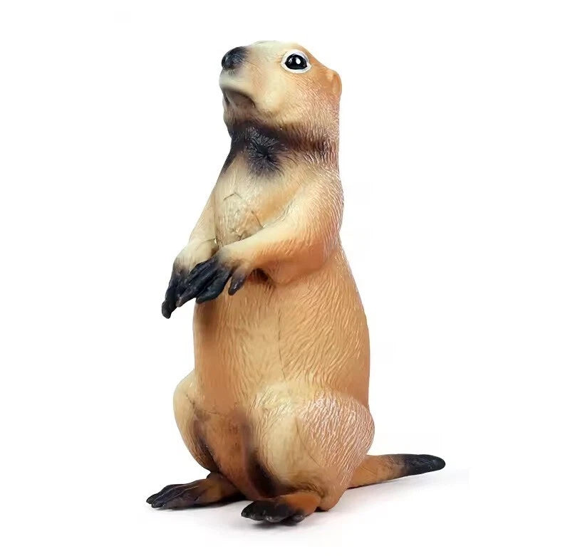 Marmot Rodent Toy Action Figure Small Animal Figurine Doll Gift for Kids Model
