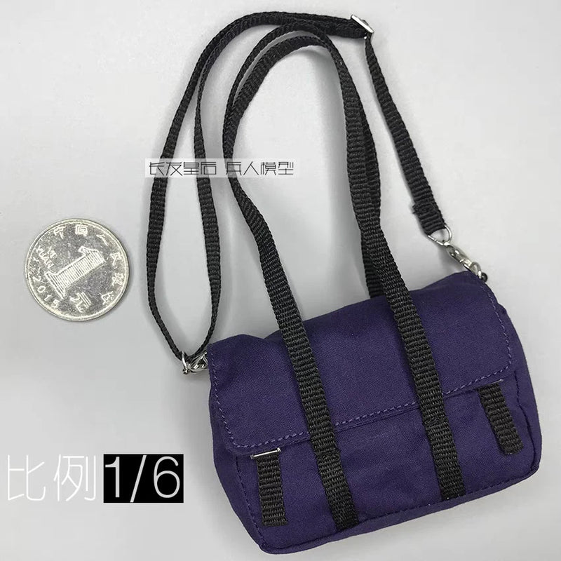 ZYTOYS ZY504 1/6 Scale Female Military Uniform- Bag model Model
