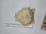 Fairy Flower Wall Pocket Small Beige Resin Hanging Figurine Floral Decor Model