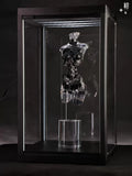 Mano K Android EL01 Torso Ver.2 Mechanical Girl Model Deluxe Edition Model