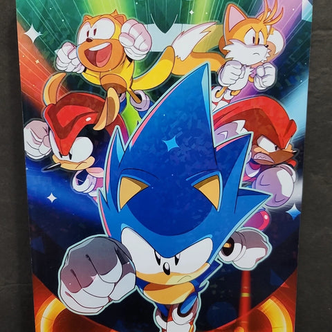 Sonic The Hedgehog Group Video Game Wall Photo Art Board Print 11.75in x 7.25in Model