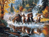 Paint By Numbers DIY Kit Horses Running River 40CMx50CM/16x20 Inch Canvas Model