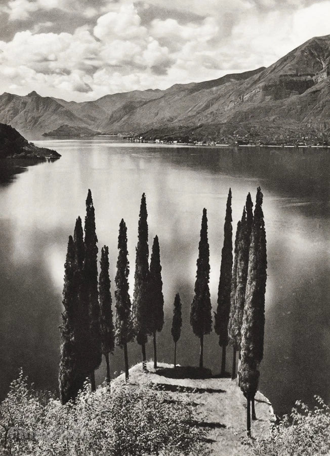 1934 Vintage Italy Varenna Lake Como Tree Mountain Landscape Photo Art 11x14 Model