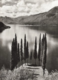 1934 Vintage Italy Varenna Lake Como Tree Mountain Landscape Photo Art 11x14 Model