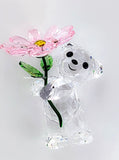 New w Gift Box SWAROVSKI Crystal Kris Bear A Daisy For You Display Deco 5675327 Model