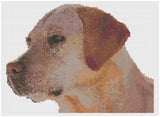 Cross Stitch Pattern by Florashell - Labrador Retriever Dog Model