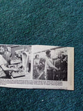 Kvc53  Ephemera 1972 picture tomato board st Peter port Guernsey Model