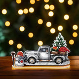 DIY Cross stitch kit "Merry Christmas", Embroidery on a plastic canvas Model