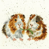 Bothy Threads counted cross stitch Kit "Lettuce Be Friends", 26x26cm, XHD19 Model