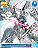 BANDAI -  Gundam Base Limited - MG Freedom Gundam Ver.2.0 [Silver Coating] Model