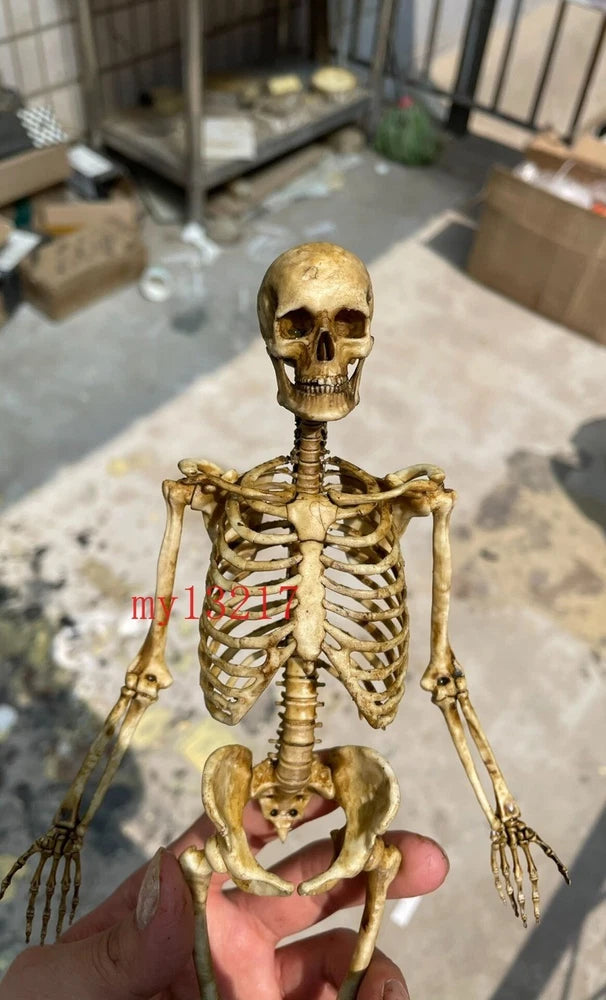1/6 Scale 30cm Vintage Weathered Resin Full Skeleton Model Scene Decor Gift Toy Model
