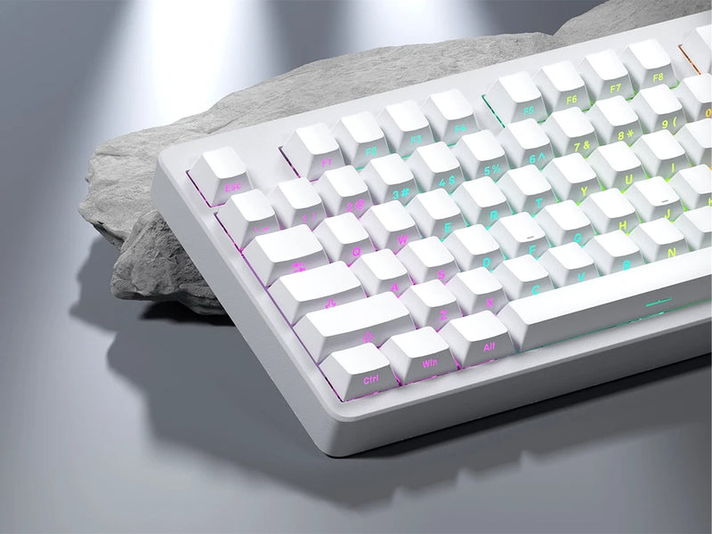 OEM/ Cherry Profile Shine through Side Print Doubleshot Black White PBT Keycaps Model