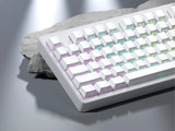 OEM/ Cherry Profile Shine through Side Print Doubleshot Black White PBT Keycaps Model