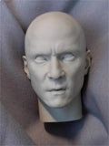 1:6 Daniel Wu Unpainted Asia  Head Sculpt Anime Unpainted  Model  figuremodel Model
