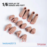US 1/6 Suntan Makeup Hands Foot Model For 12