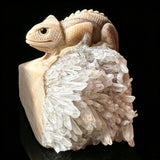 Hand Carved Natural Crystal Lizard Figurine Polished Desk Decor Unique Gift Art Model